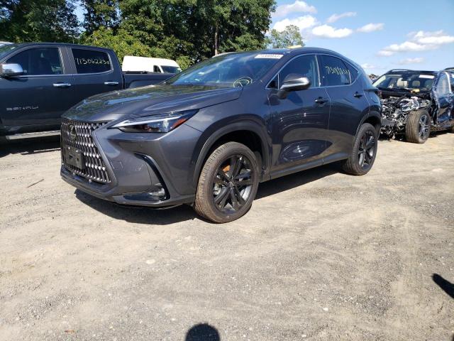 Lexus Nx 450h lu (2024)