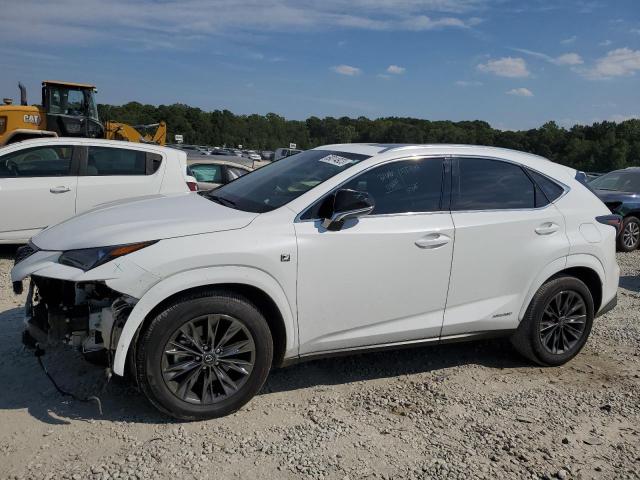 Lexus Nx 300h ba (2021)