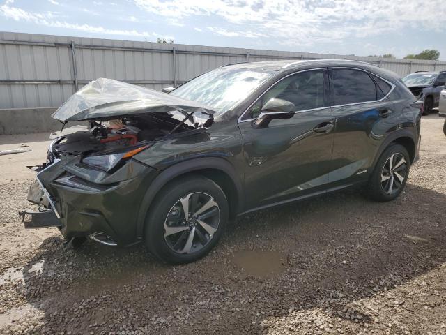 Lexus Nx 300h ba (2021)