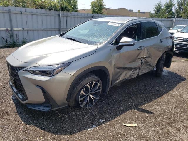 Lexus Nx 250 (2023)