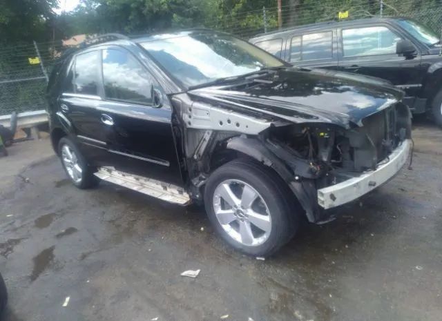 Mercedes-benz M-class (2010)