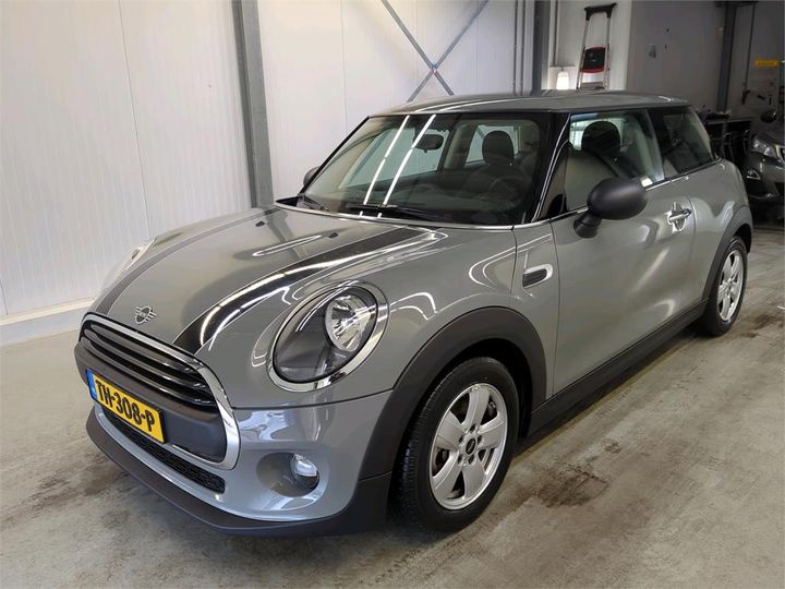 Mini Mini (2018)