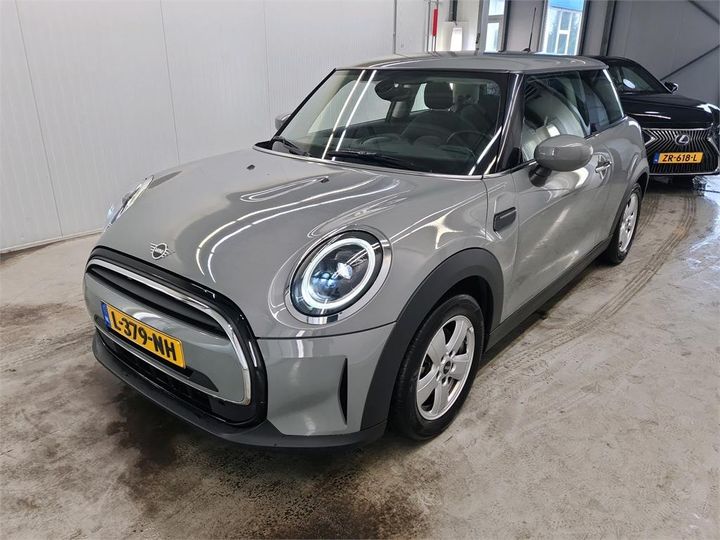 Mini Mini (2021)