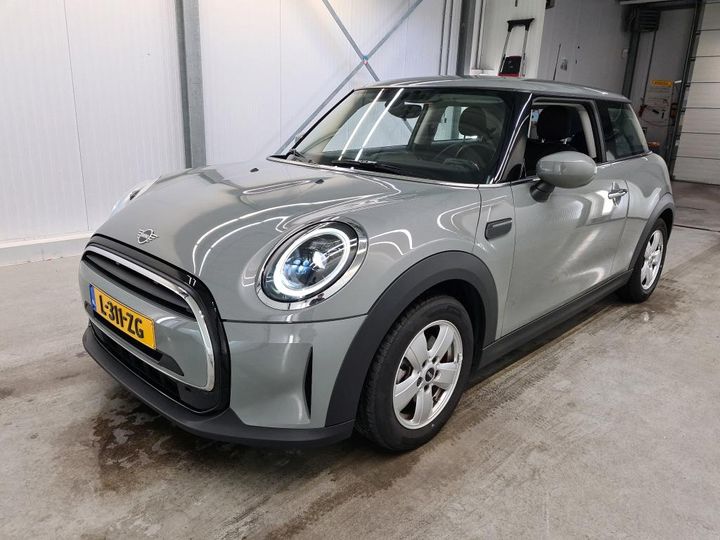 Mini Mini (2021)