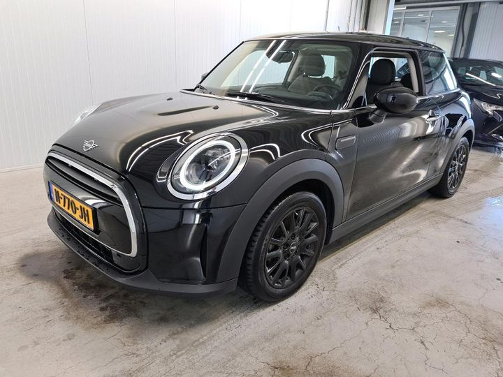 Mini Mini (2021)