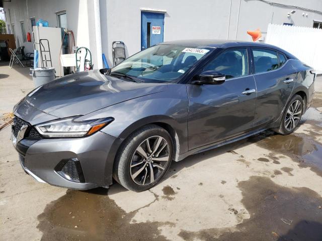 Nissan Maxima sv (2022)