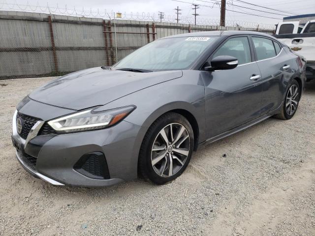 Nissan Maxima sv (2020)