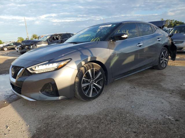 Nissan Maxima sv (2023)