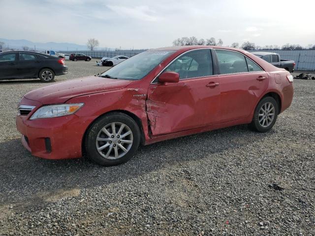 Toyota Camry hybr (2010)