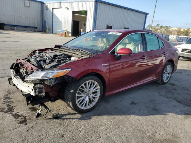 Toyota Camry hybr (2019)