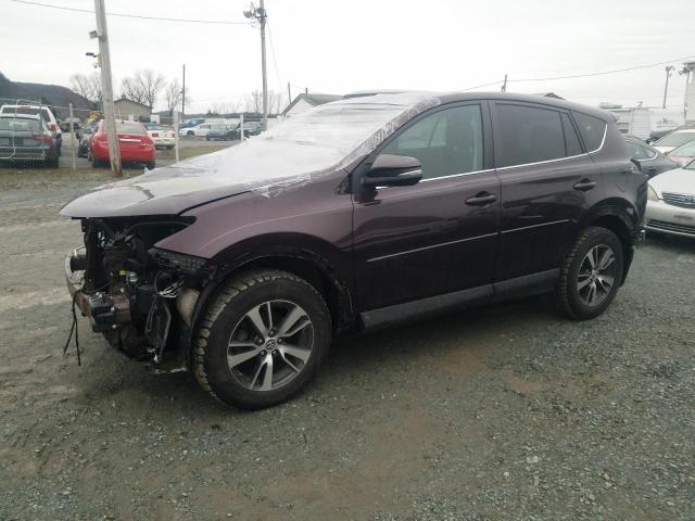 Toyota Rav4 xle (2017)