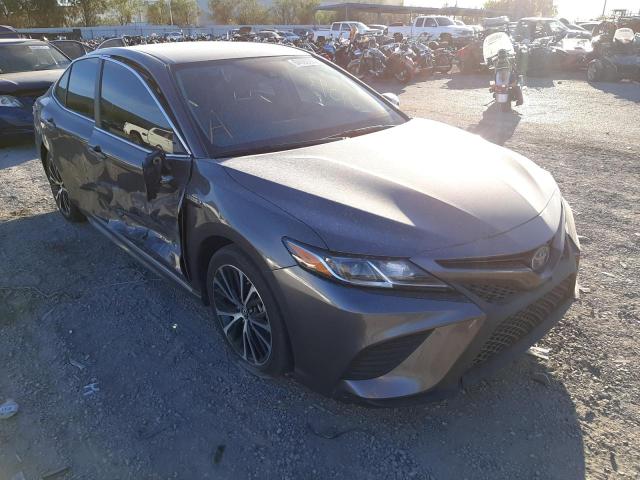 Toyota Camry hybr (2019)