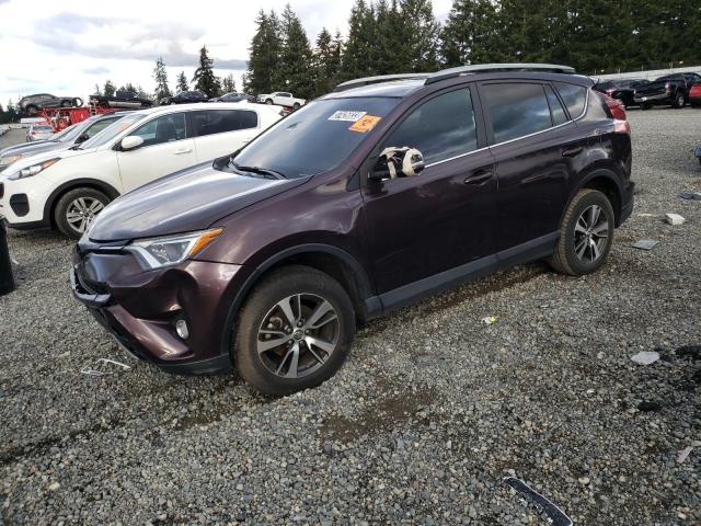 Toyota Rav4 xle (2017)