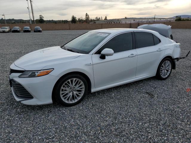 Toyota Camry hybr (2019)