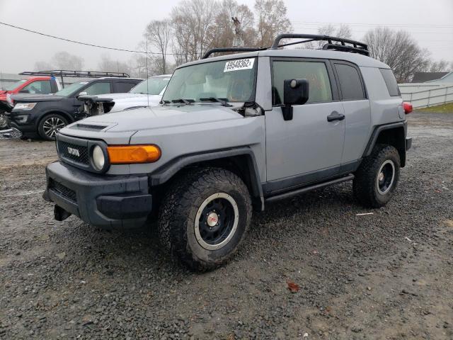 Toyota Fj cruiser (2013)