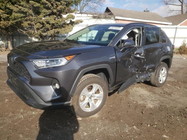 Toyota Rav4 xle (2019)