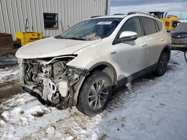 Toyota Rav4 hv xl (2016)