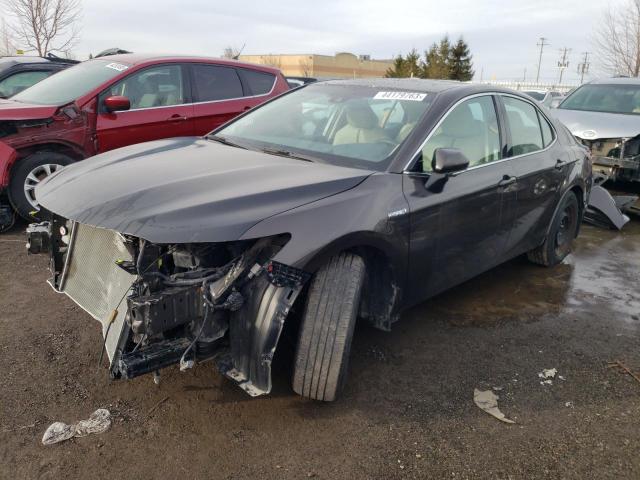 Toyota Camry hybr (2018)