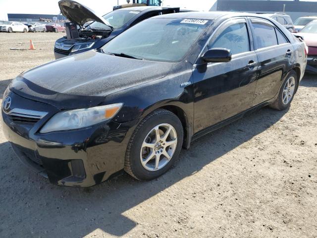 Toyota Camry hybr (2010)