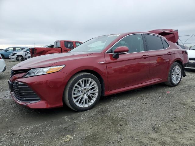 Toyota Camry hybr (2019)