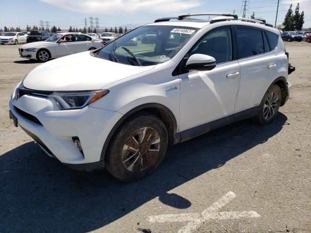 Toyota Rav4 hv xl (2016)