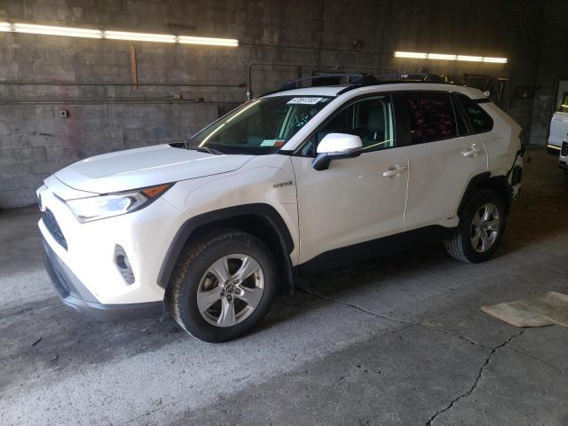 Toyota Rav4 xle (2019)