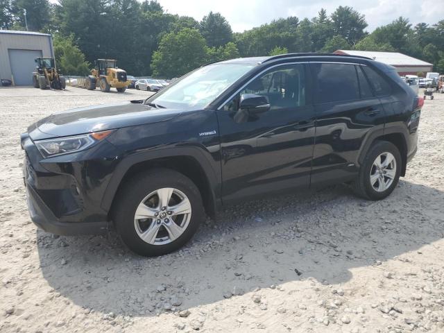 Toyota Rav4 xle (2019)
