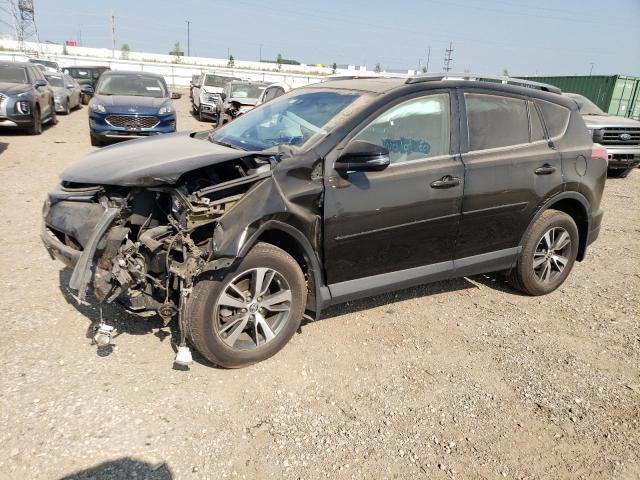Toyota Rav4 xle (2017)