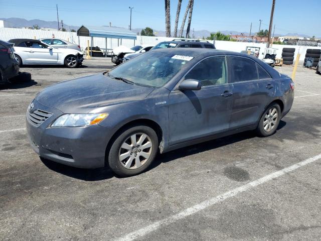 Toyota Camry hybr (2007)