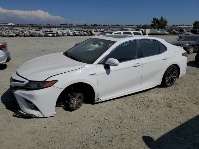 Toyota Camry hybr (2019)