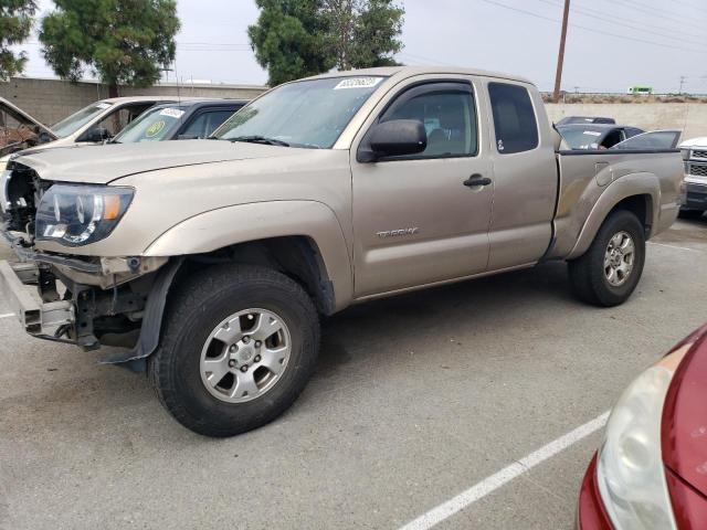 Toyota Tacoma pre (2006)