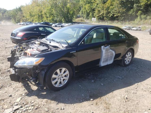 Toyota Camry hybr (2009)