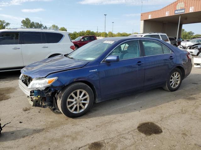 Toyota Camry hybr (2010)
