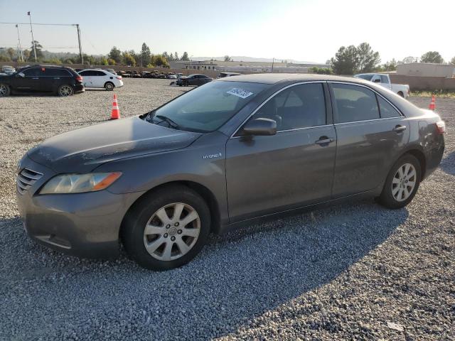 Toyota Camry hybr (2007)