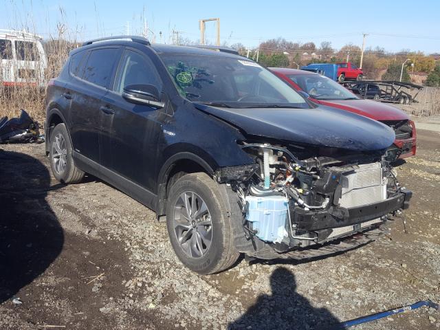 Toyota Rav4 hv le (2018)