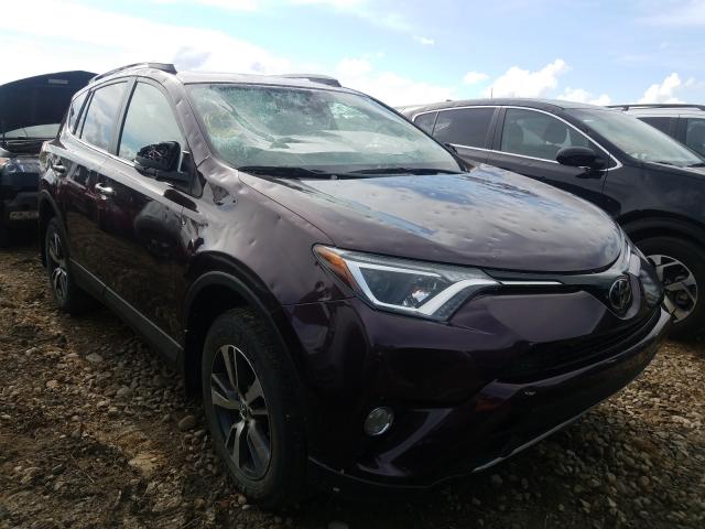 Toyota Rav4 xle (2017)