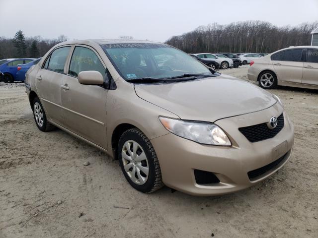 Toyota Corolla ba (2010)