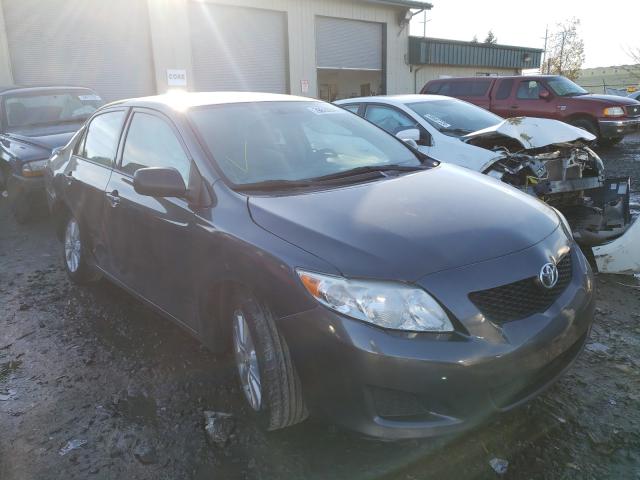 Toyota Corolla ba (2010)