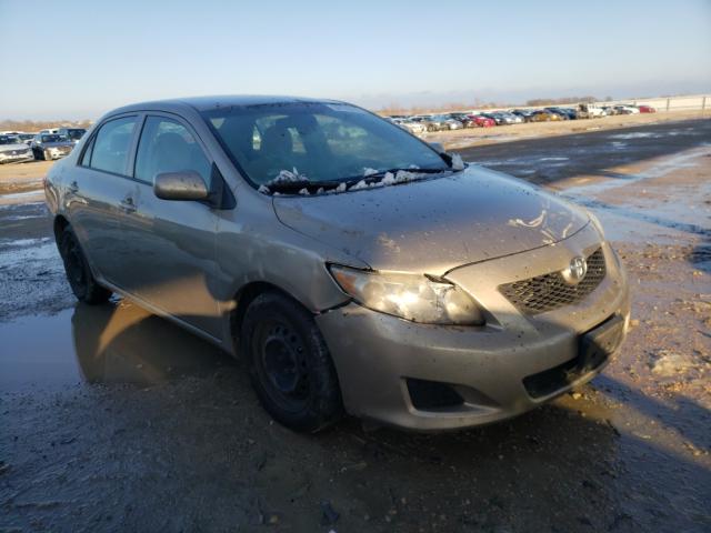 Toyota Corolla ba (2010)