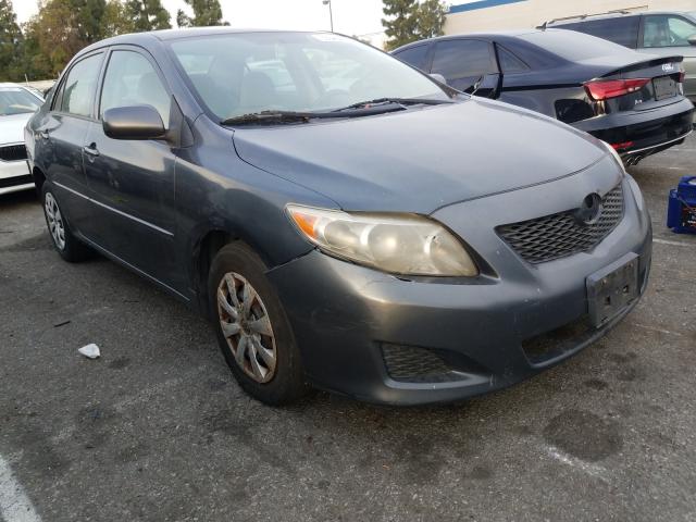 Toyota Corolla ba (2010)