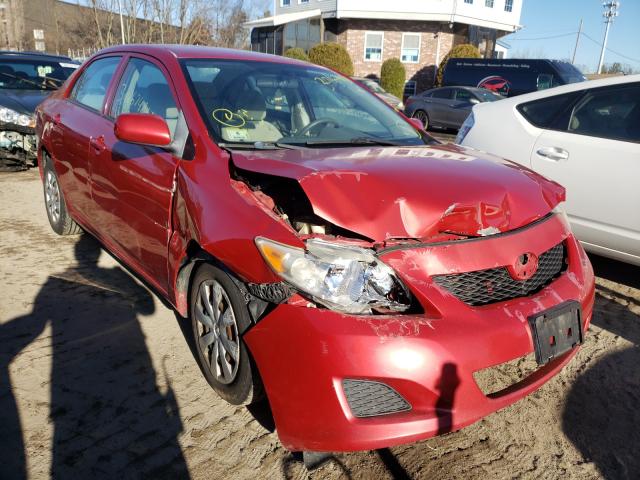 Toyota Corolla ba (2010)