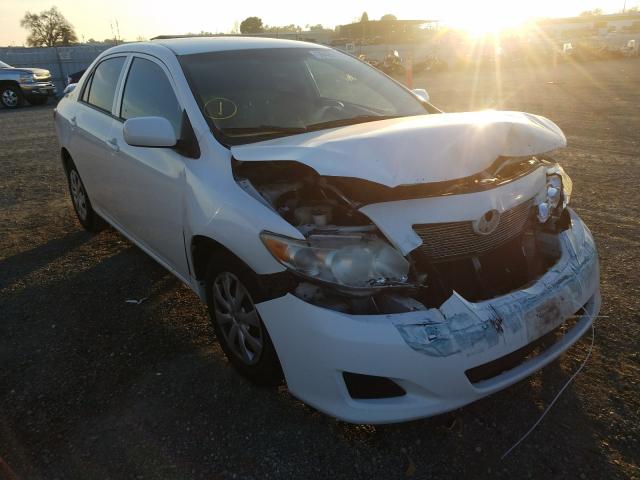 Toyota Corolla ba (2010)