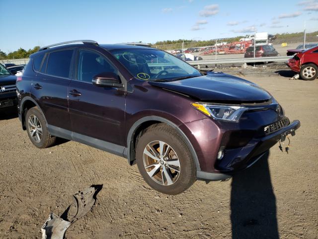 Toyota Rav4 xle (2016)