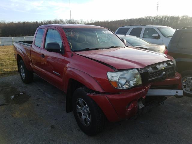 Toyota Tacoma acc (2011)