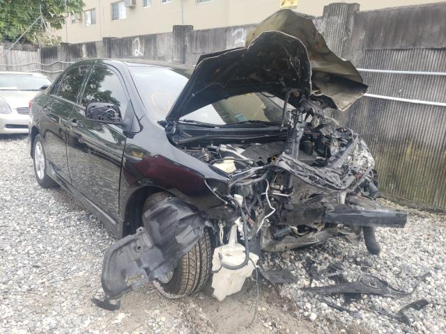 Toyota Corolla ba (2013)