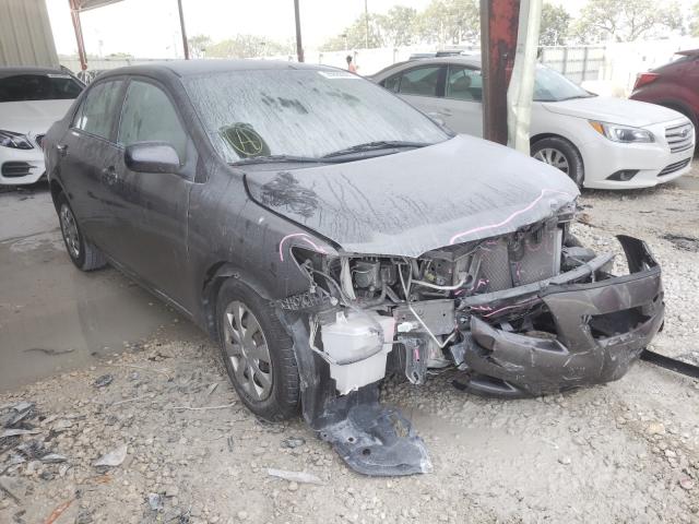 Toyota Corolla ba (2010)