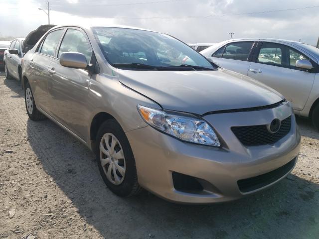 Toyota Corolla ba (2010)