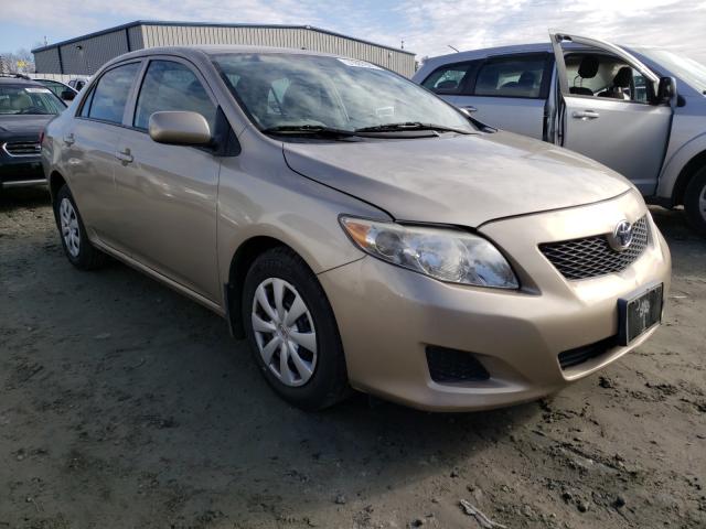 Toyota Corolla ba (2010)