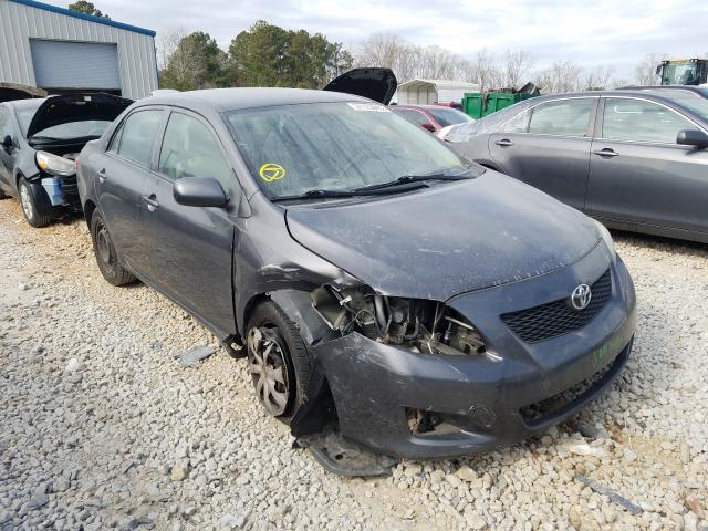 Toyota Corolla ba (2010)