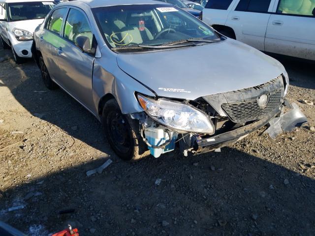 Toyota Corolla ba (2010)